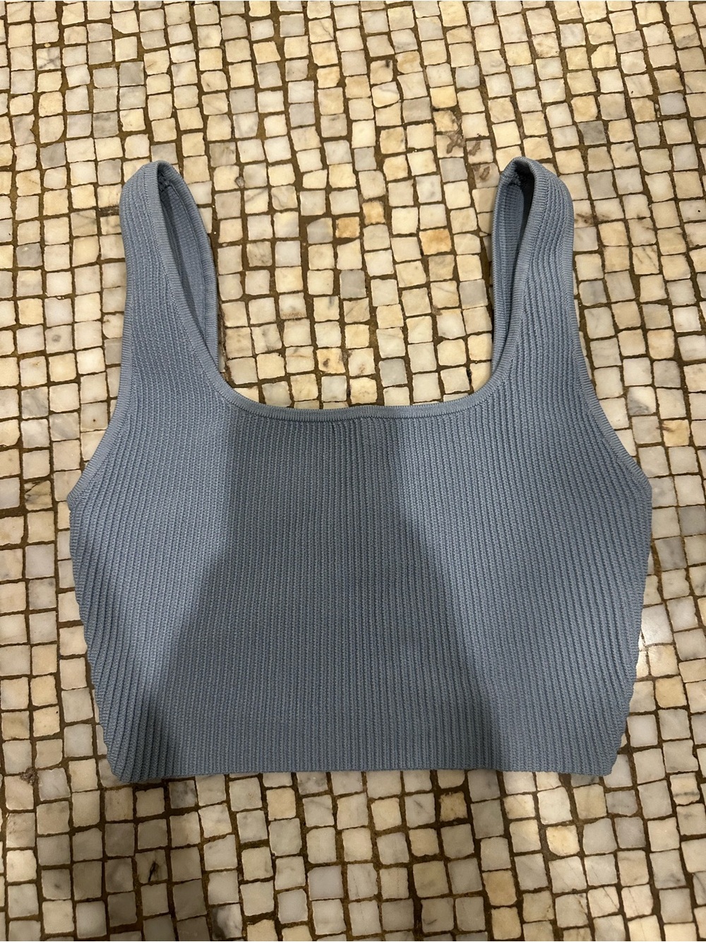 Aritzia Babaton Sculpt Knit Squareneck Cropped Tank